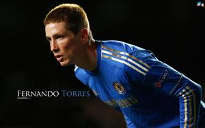 Fernando Torres